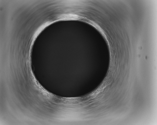 X0000059061488200510101035