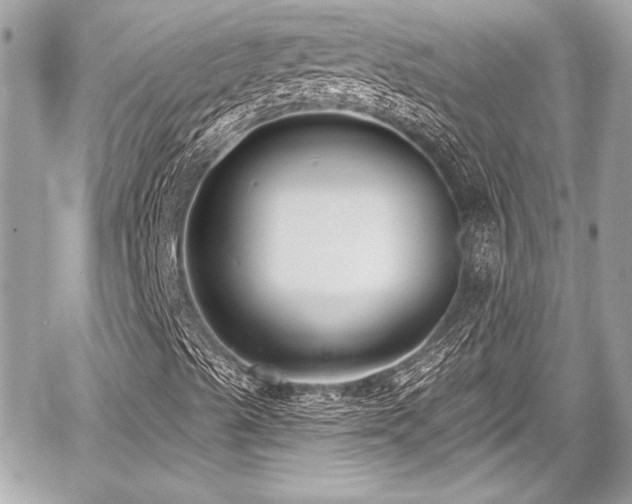 X0000059061489200510101035