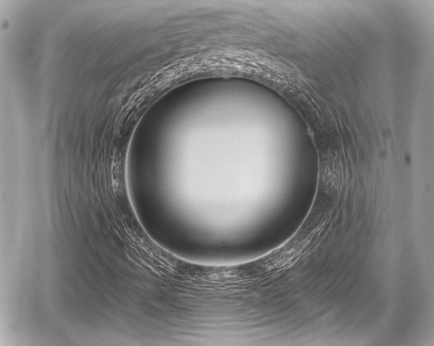 X0000059061490200510101035