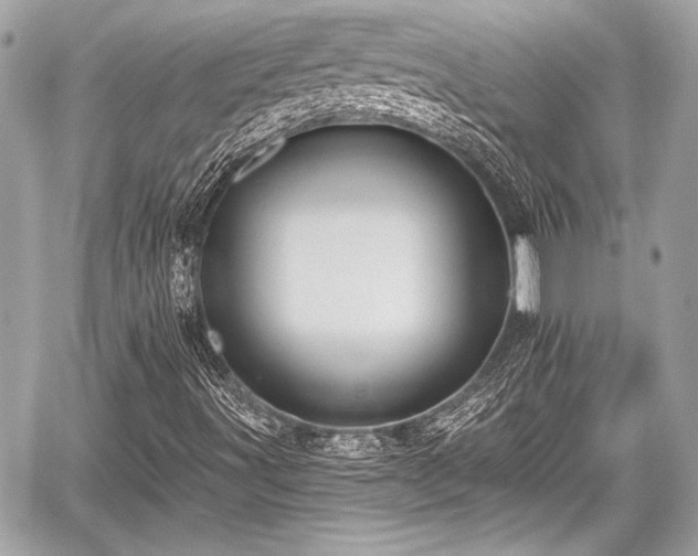 X0000059061491200510101035