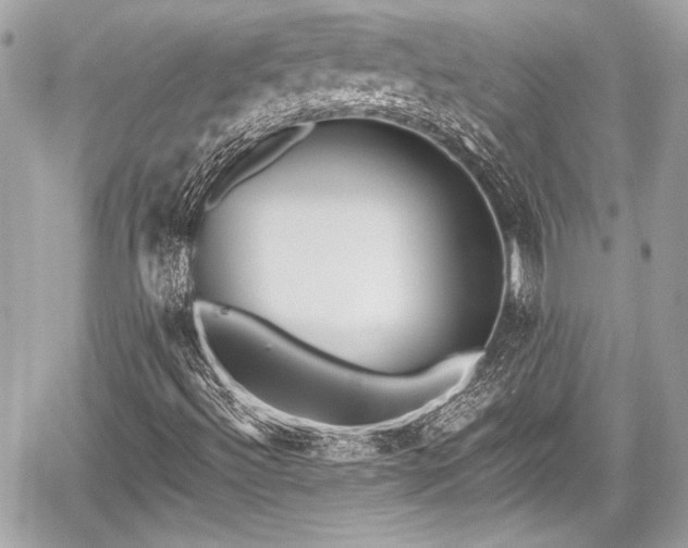 X0000059061492200510101035