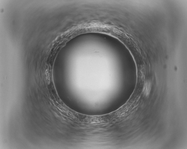 X0000059061493200510101035