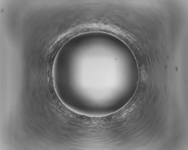 X0000059061494200510101035