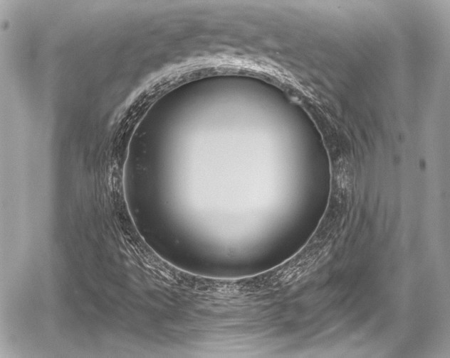 X0000059061495200510101035