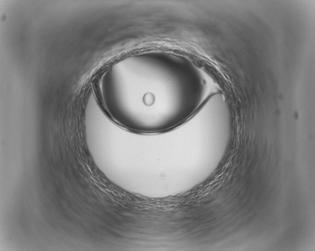 X0000059061496200510101035