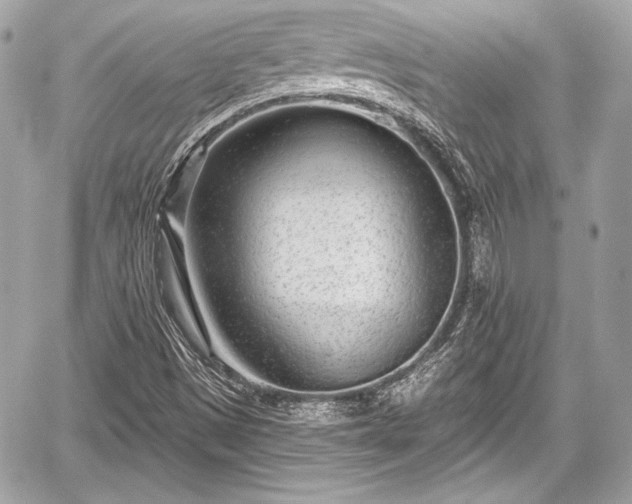 X0000059061497200510101035