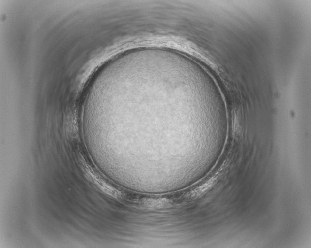 X0000059061498200510101035