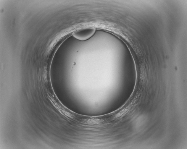 X0000059061499200510101035