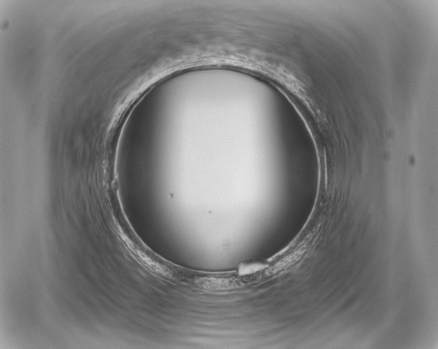 X0000059061500200510101035