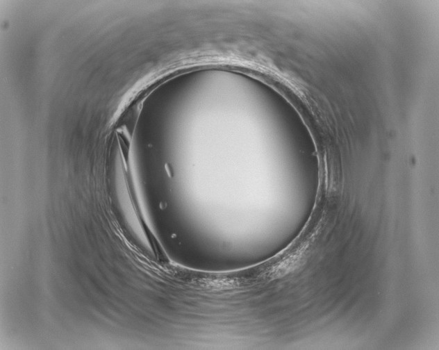 X0000059061501200510101035