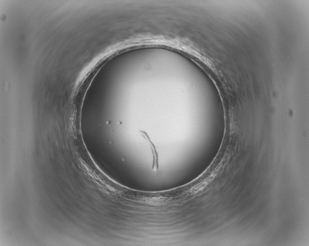 X0000059061502200510101035