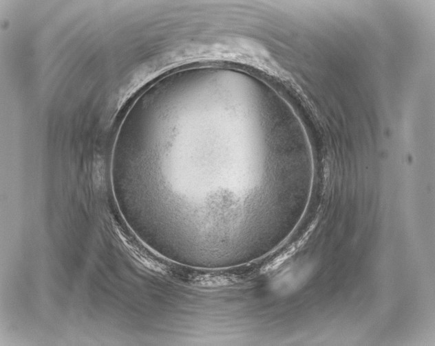 X0000059061505200510101035