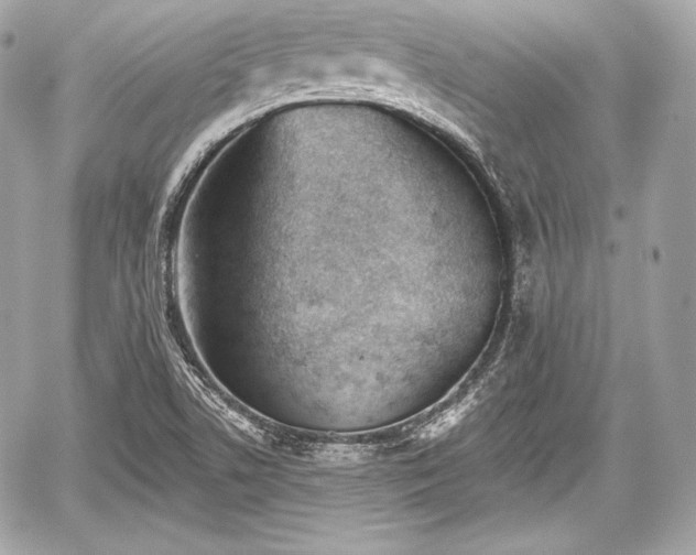 X0000059061506200510101035