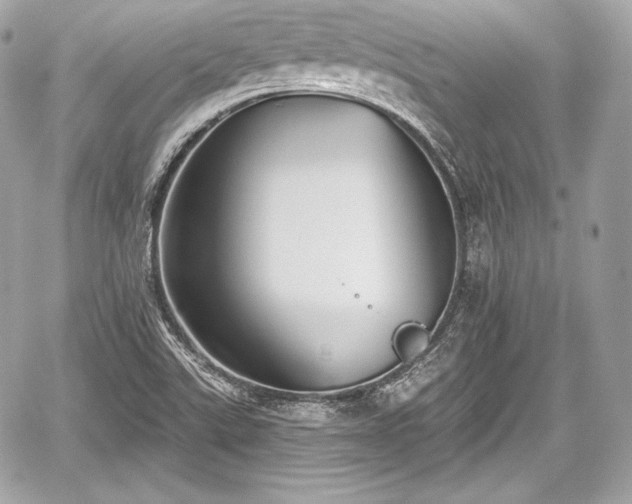 X0000059061507200510101035