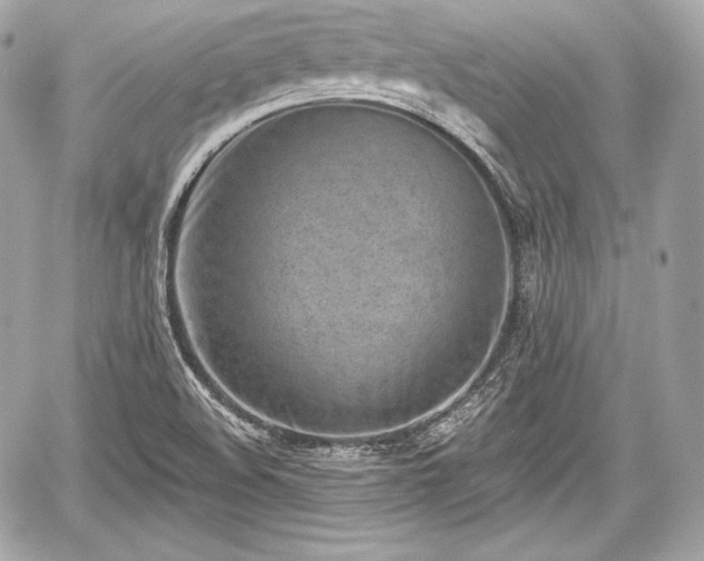 X0000059061508200510101035