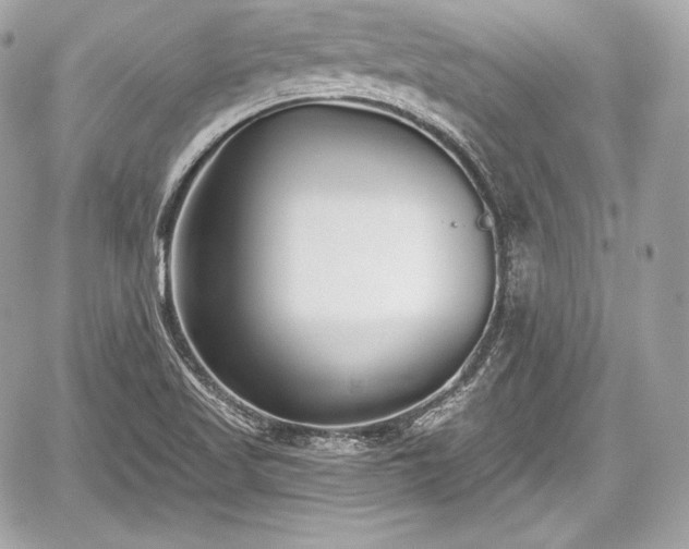 X0000059061509200510101035