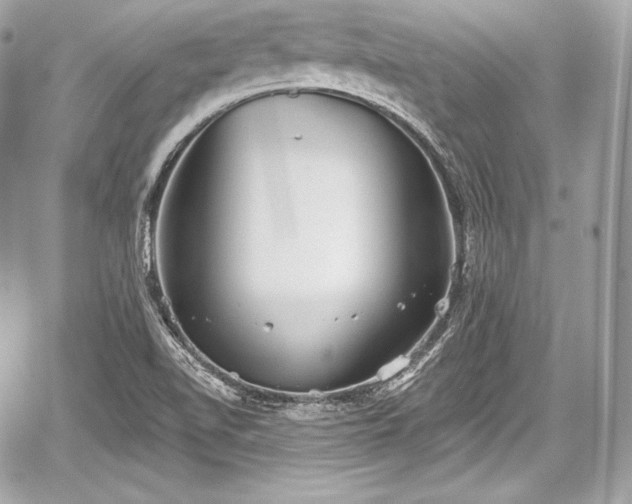 X0000059061510200510101035