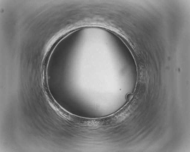 X0000059061511200510101035