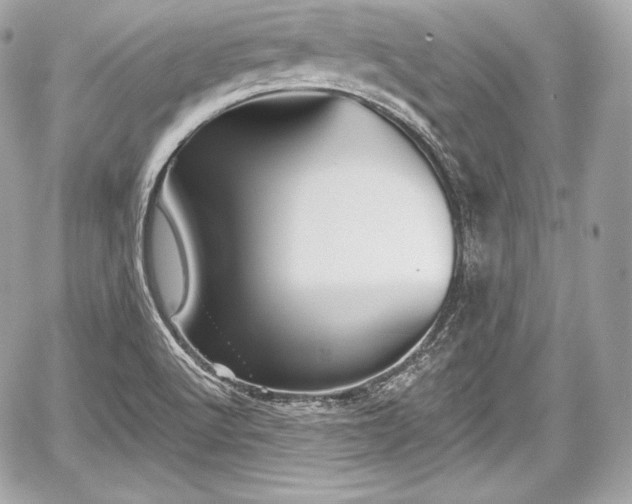 X0000059061512200510101035