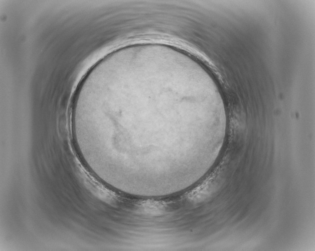 X0000059061514200510101035