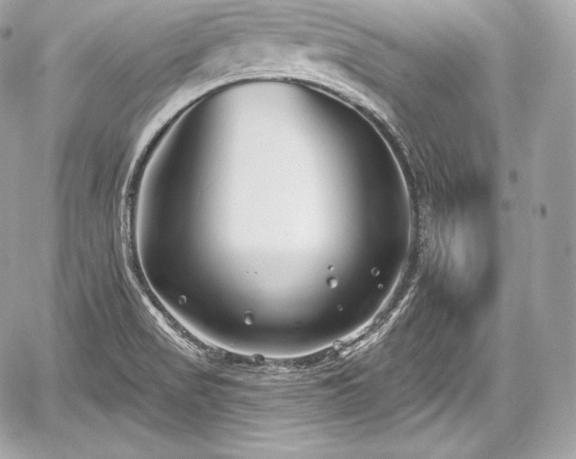 X0000059061517200510101035