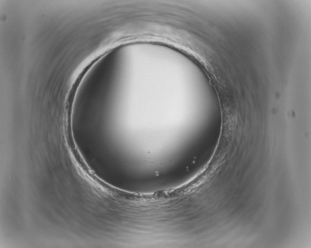 X0000059061518200510101035