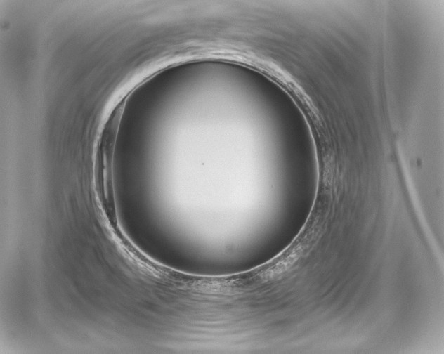 X0000059061520200510101035