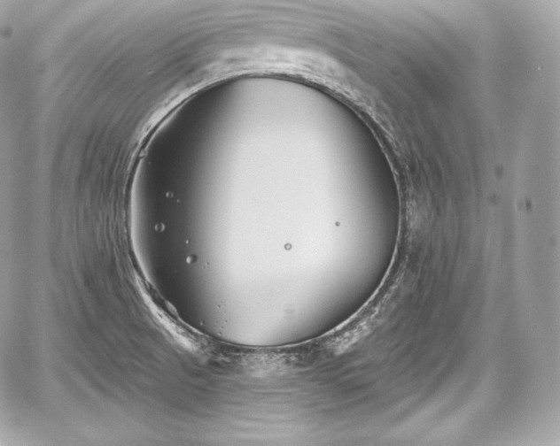 X0000059061521200510101035