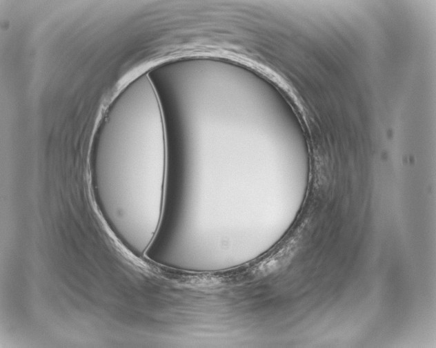 X0000059061525200510101035