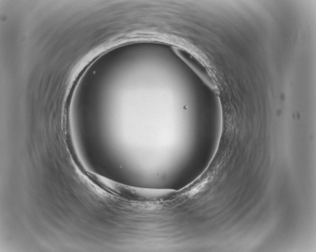 X0000059061527200510101035