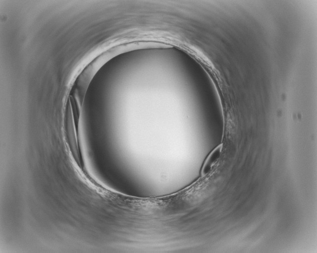 X0000059061528200510101035