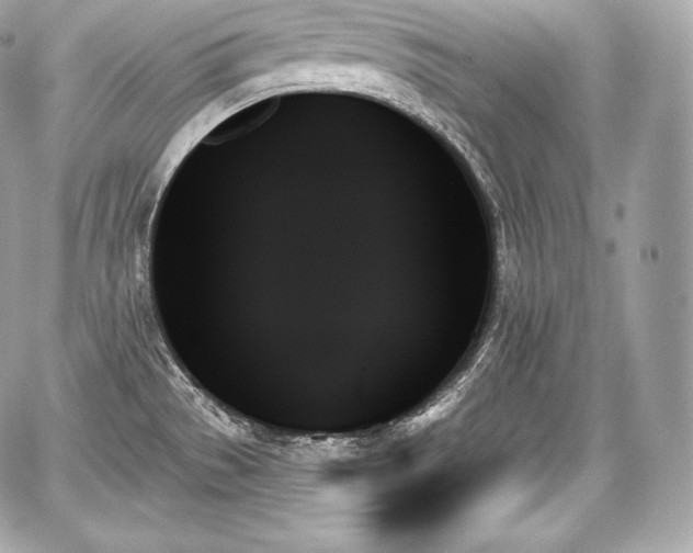 X0000059061529200510101035