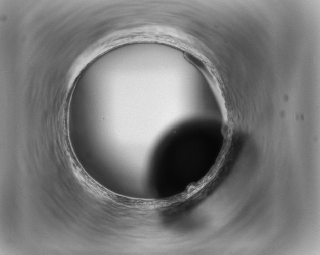 X0000059061530200510101035