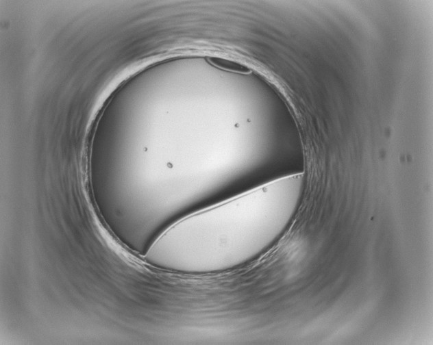 X0000059061531200510101035