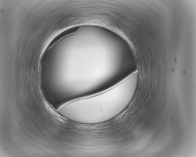 X0000059061532200510101035