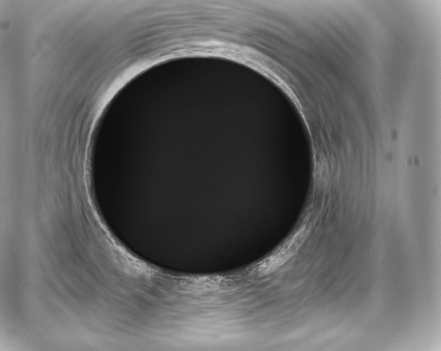 X0000059061533200510101035