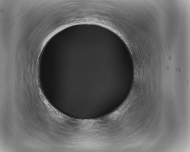 X0000059061534200510101035