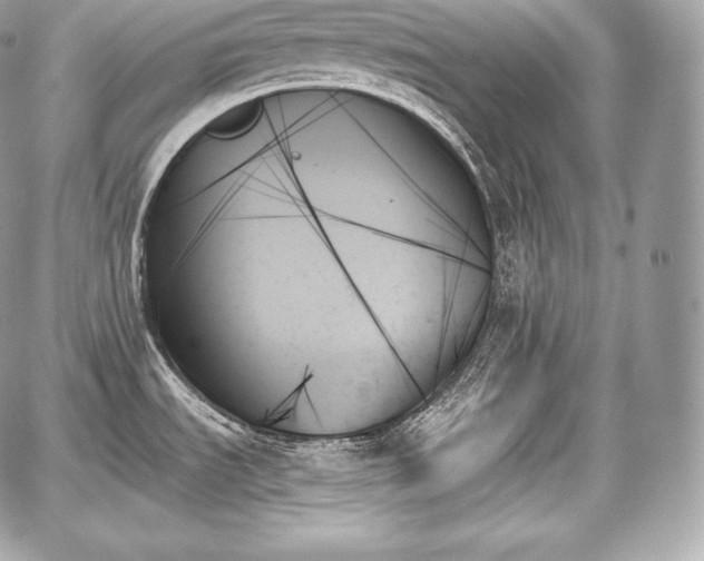 X0000059061535200510101035