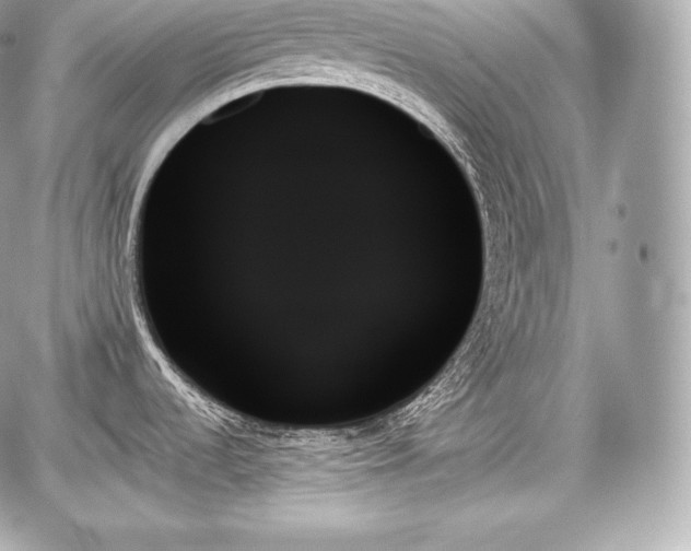 X0000059061536200510101035