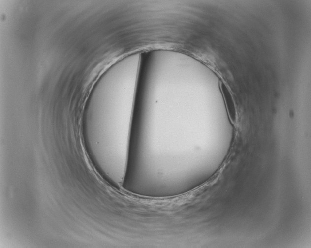 X0000059060001200510171951