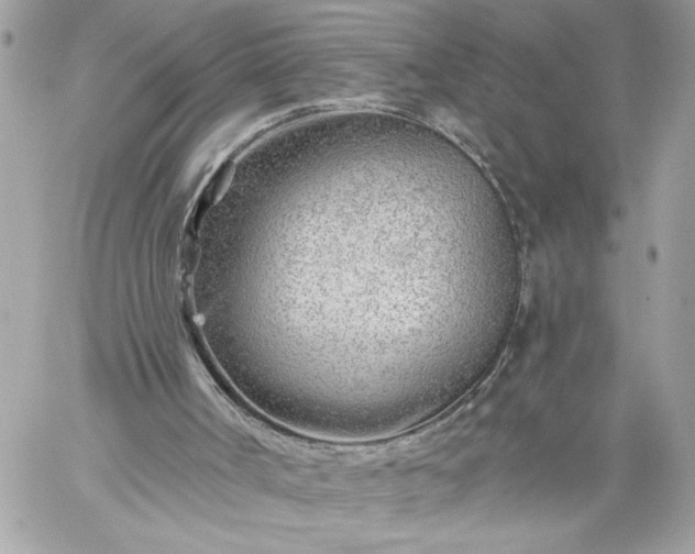 X0000059060002200510171951