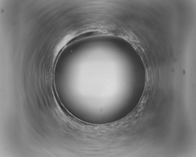 X0000059060003200510171951