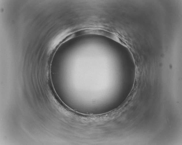 X0000059060005200510171951