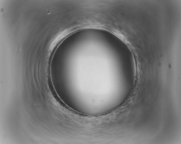 X0000059060007200510171951