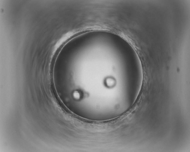 X0000059060008200510171951