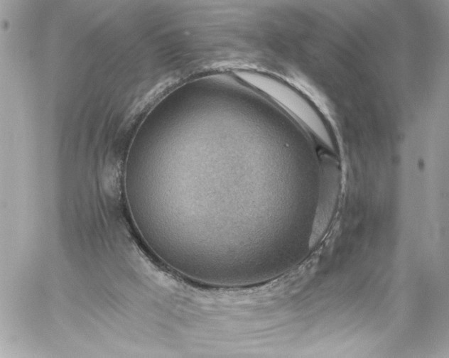 X0000059060009200510171951