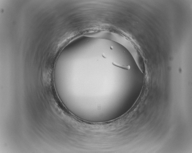 X0000059060010200510171951