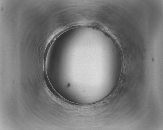 X0000059060011200510171951