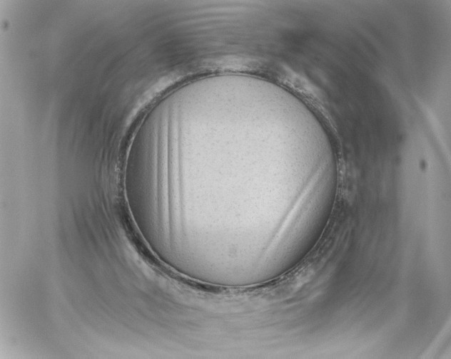 X0000059060012200510171951