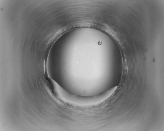 X0000059060013200510171951